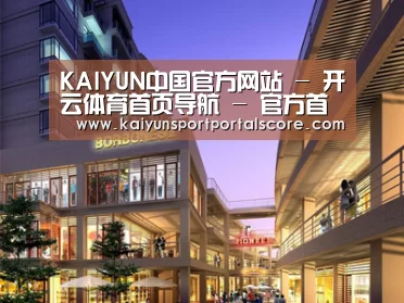 案例展示一(图1)