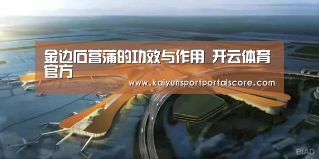 金边石菖蒲的功效与作用_开云体育官方(图2) 开云体育官方