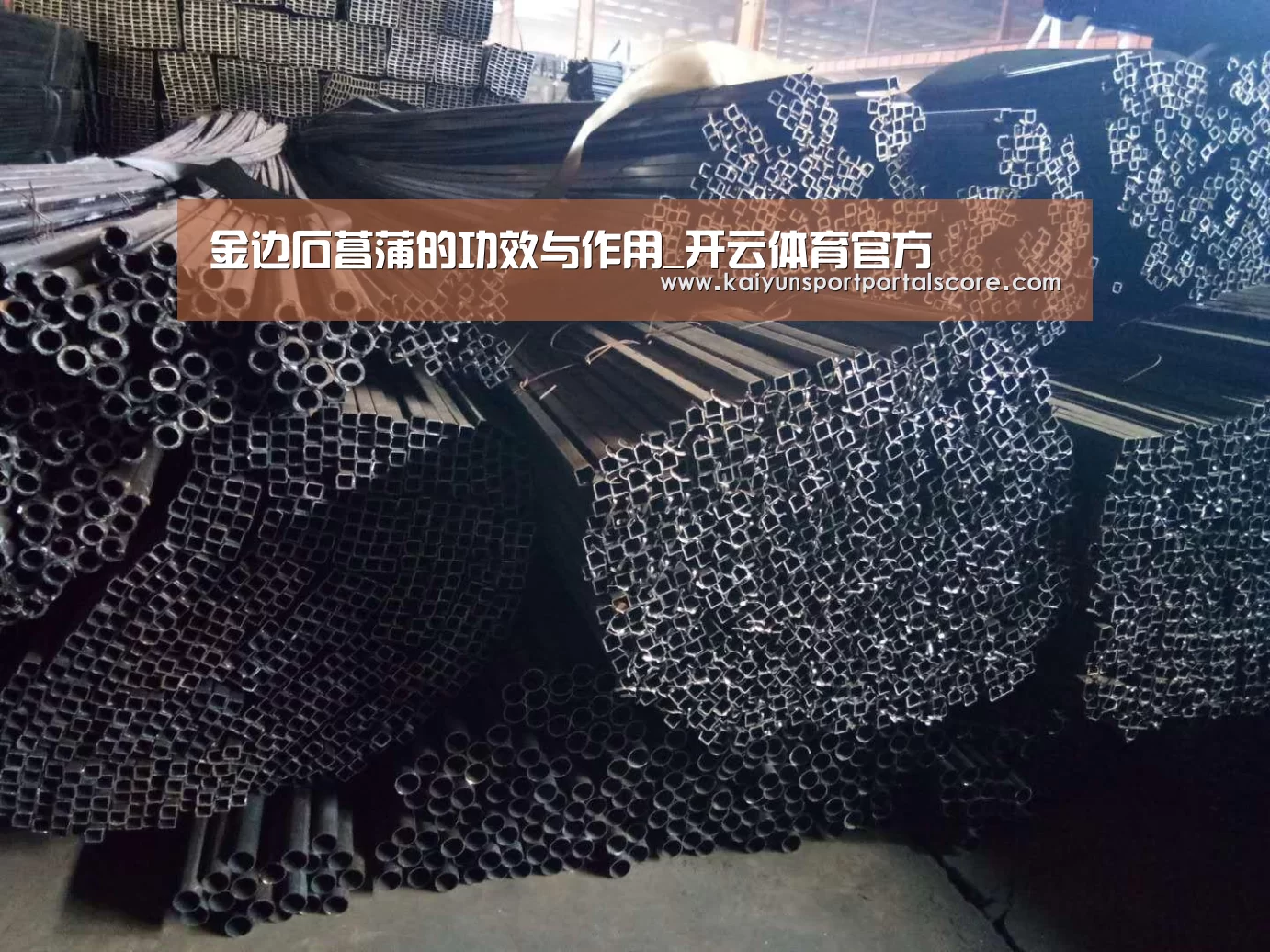 金边石菖蒲的功效与作用_开云体育官方(图1) 开云体育官网