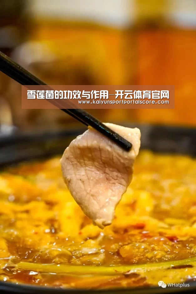 开云体育官网