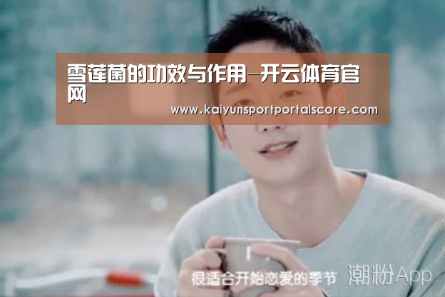 开云登录