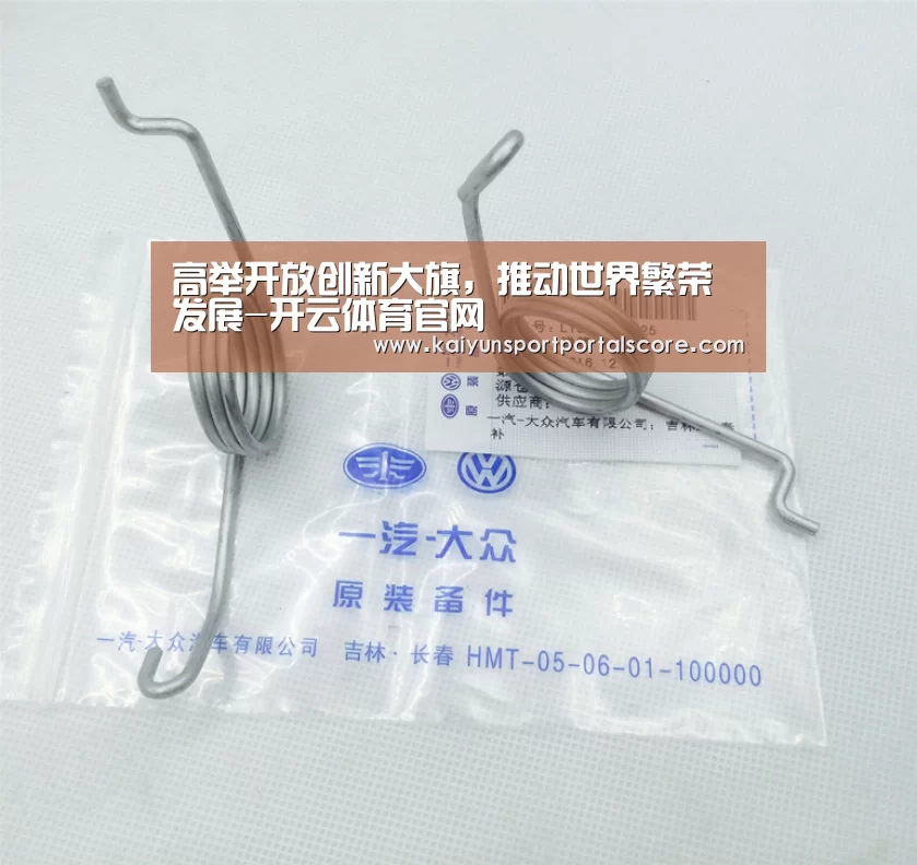 高举开放创新大旗,推动世界繁荣发展-开云体育官网(图2) 开云体育官网