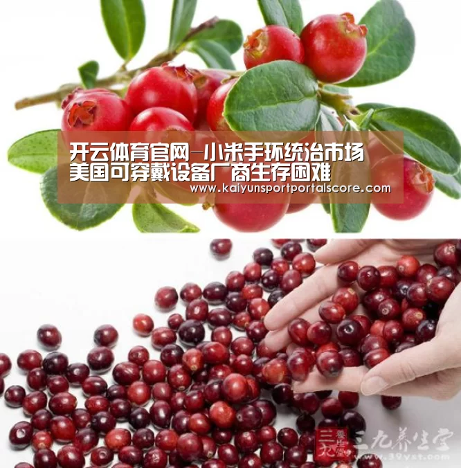 开云体育官方
