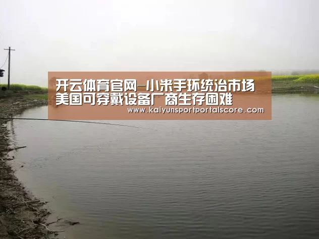 开云体育官方