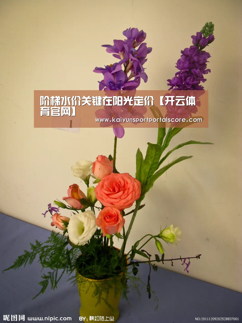 开云体育官网