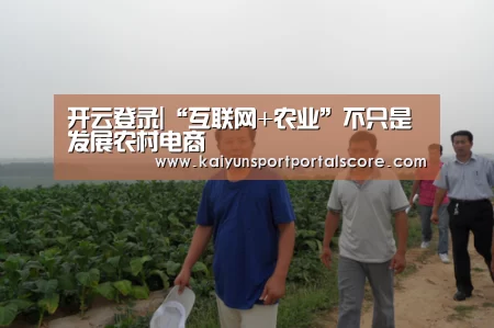 开云体育官网