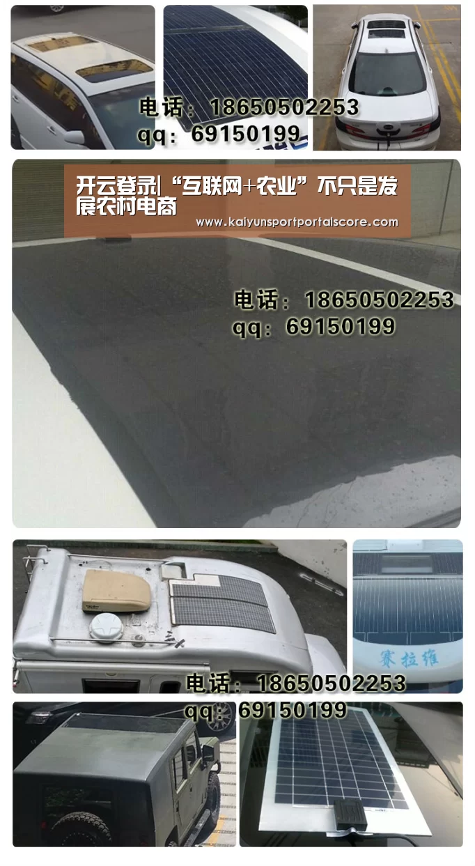 开云体育官方