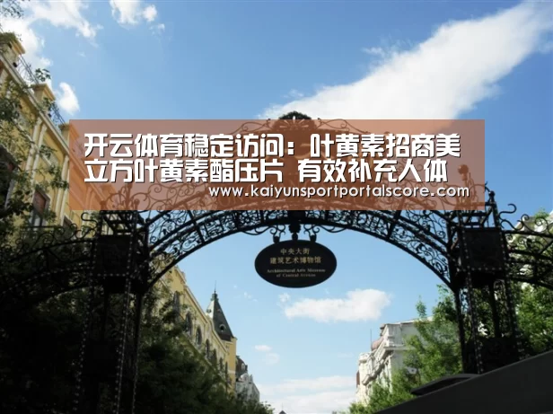 开云体育官网