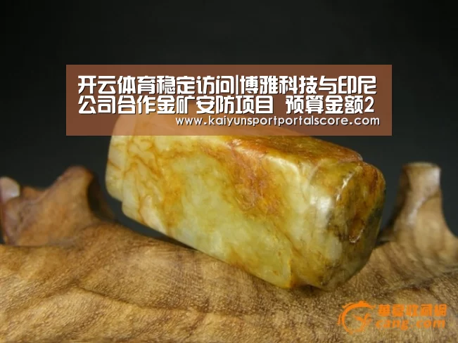 开云体育稳定访问|博雅科技与印尼公司合作金矿安防项目 预算金额2.5亿元(图2) 开云体育稳定访问