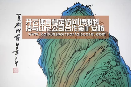 开云体育稳定访问|博雅科技与印尼公司合作金矿安防项目 预算金额2.5亿元(图1) 开云体育稳定访问