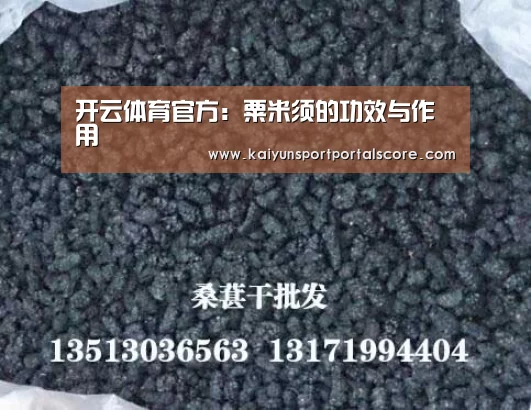 开云体育官方:粟米须的功效与作用(图1) 开云体育稳定访问
