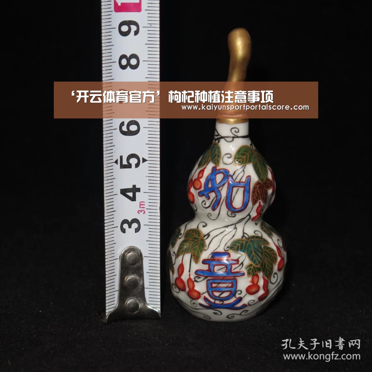 ‘开云体育官方’枸杞种植注意事项(图1) 开云体育官网