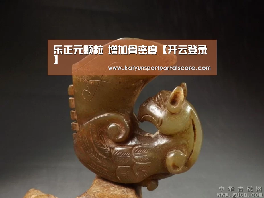 乐正元颗粒 增加骨密度【开云登录】(图1) 开云体育官方