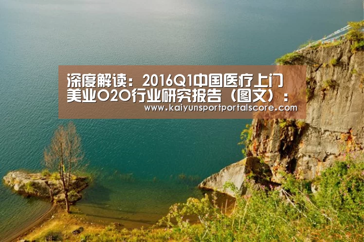 深度解读:2016Q1中国医疗上门美业O2O行业研究报告(图文):开云体育官方(图2) 开云体育官方