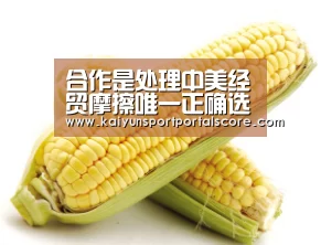 开云体育官网